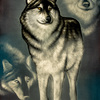 Velvet painting 24x36-44